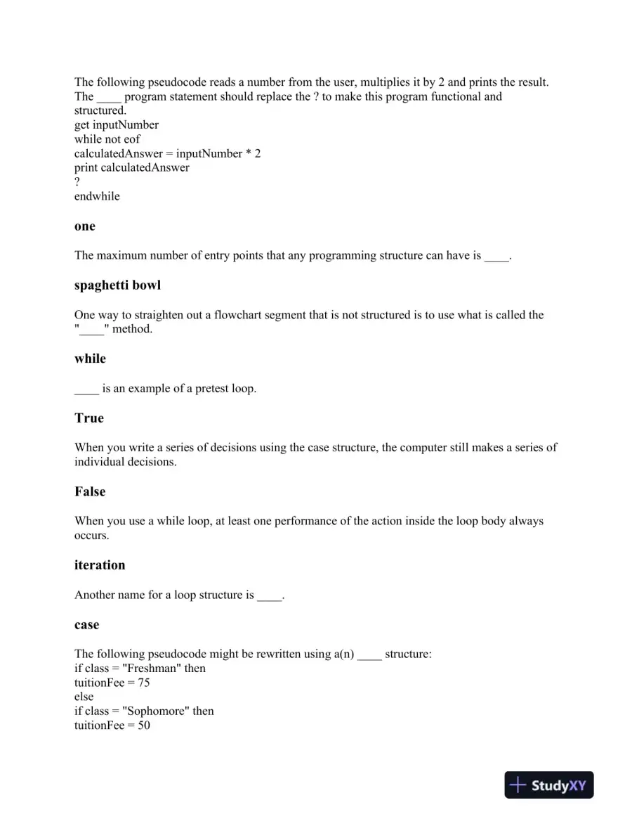 Fundamentals of Programming: Syntax, Logic Structures, and Variable Management, page 5