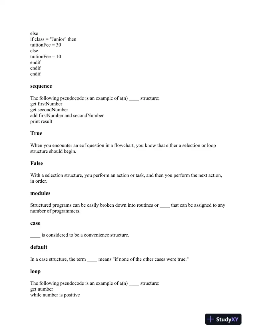 Fundamentals of Programming: Syntax, Logic Structures, and Variable Management, page 6