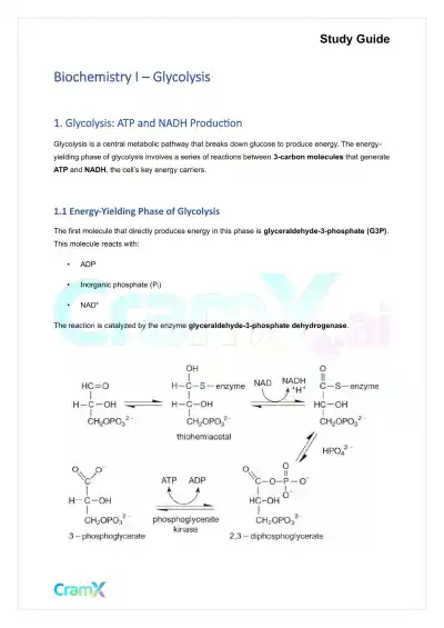 Biochemistry I - Glycolysis - Page 1 preview image