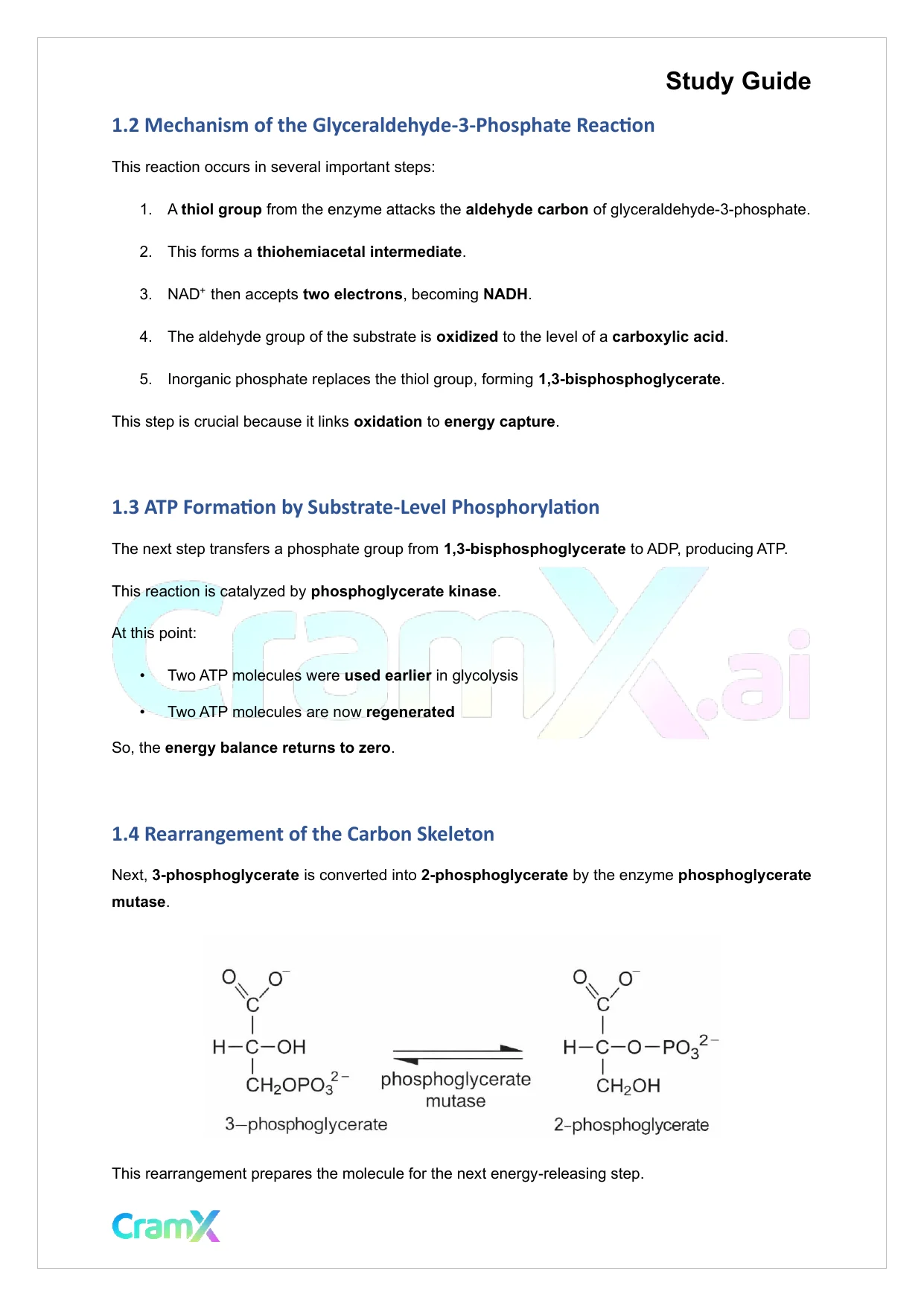 Biochemistry I - Glycolysis - Page 2 preview image