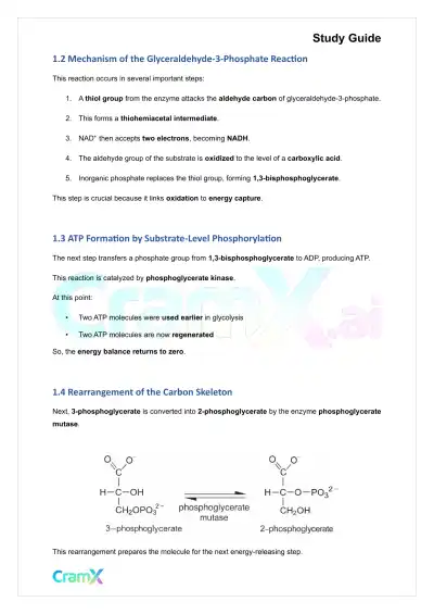 Biochemistry I - Glycolysis - Page 2 preview image