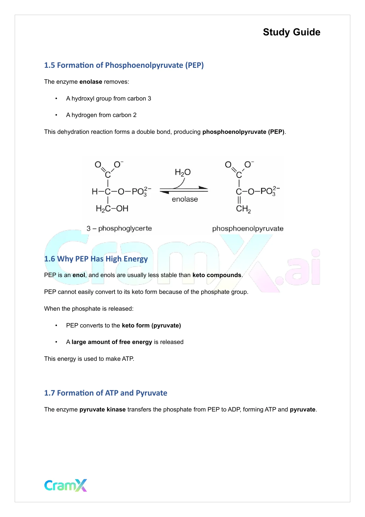 Biochemistry I - Glycolysis - Page 3 preview image