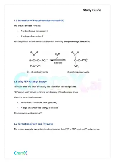 Biochemistry I - Glycolysis - Page 3 preview image