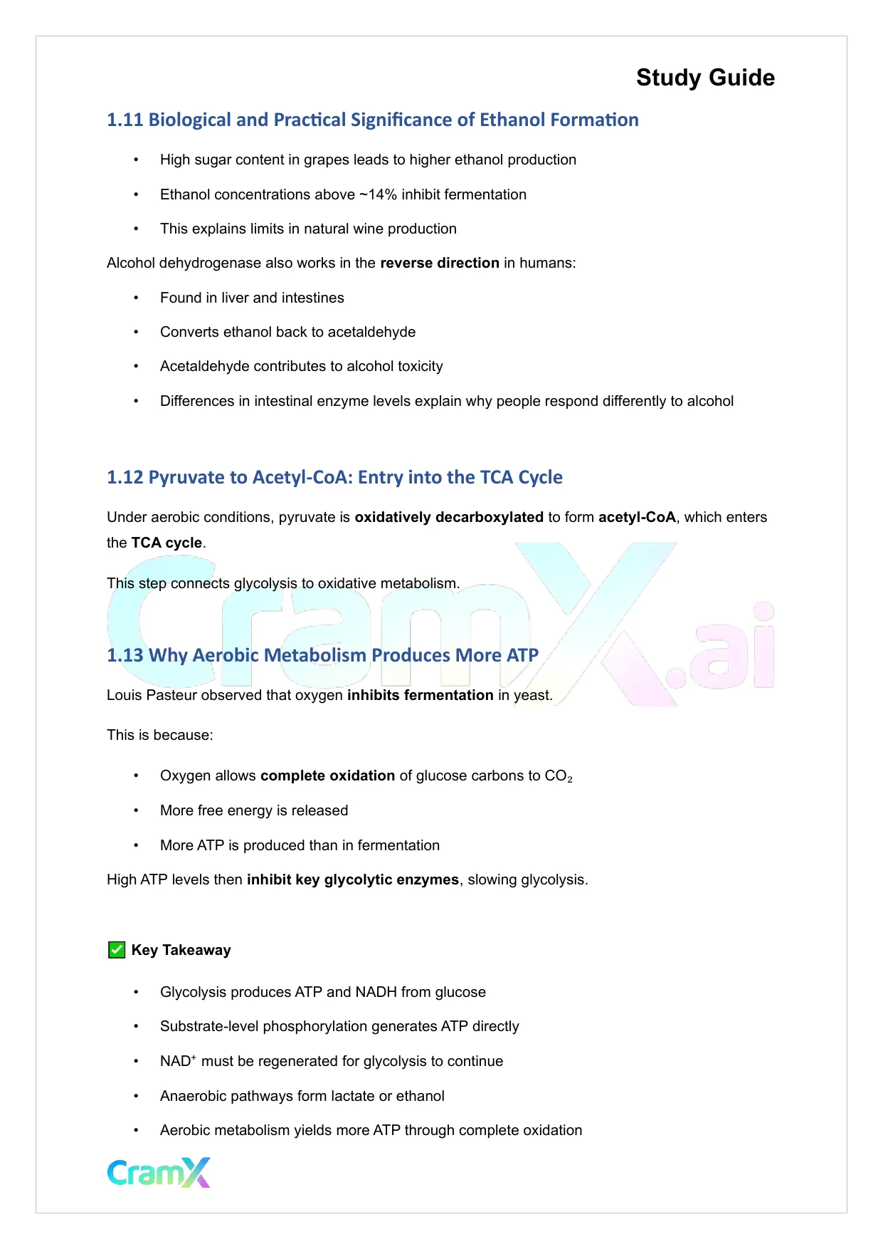 Biochemistry I - Glycolysis - Page 6 preview image