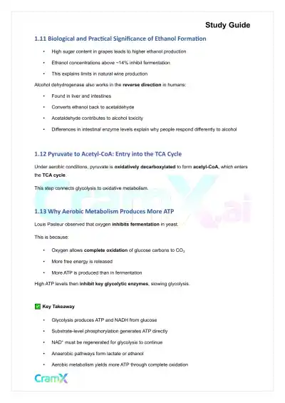 Biochemistry I - Glycolysis - Page 6 preview image
