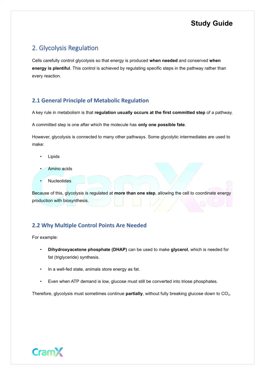 Biochemistry I - Glycolysis, page 7