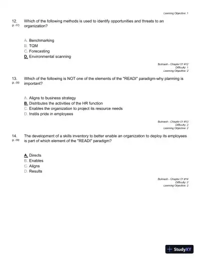 Strategic Planning for Human Resources, First Edition Test Bank - Page 10 preview image