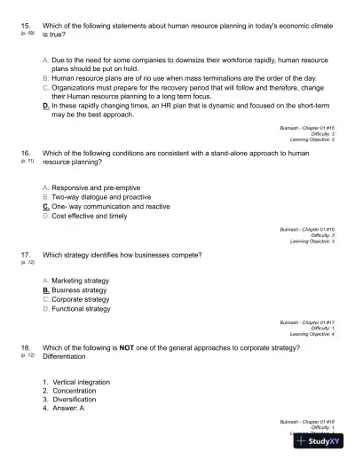 Strategic Planning for Human Resources, First Edition Test Bank - Page 11 preview image