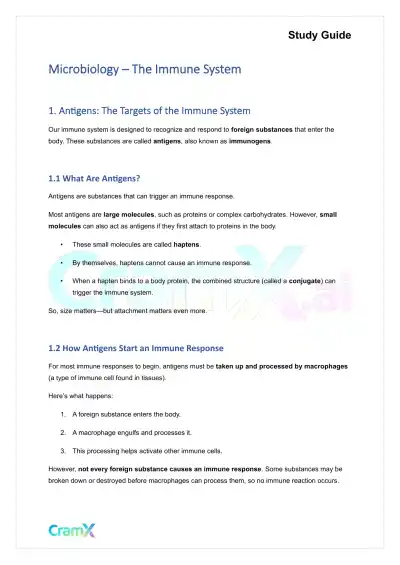 Microbiology - The Immune System - Page 1 preview image