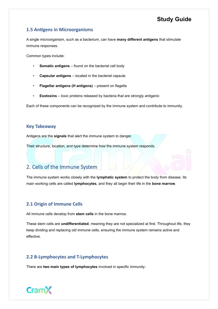 Microbiology - The Immune System, page 3