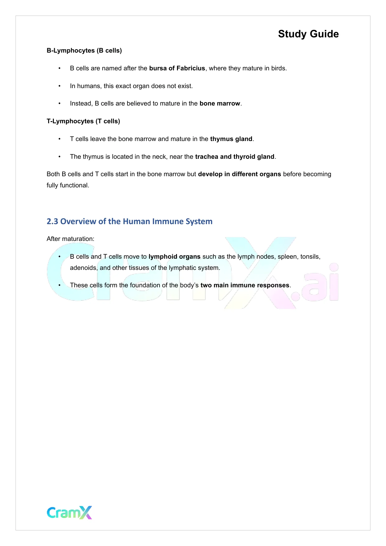 Microbiology - The Immune System - Page 4 preview image