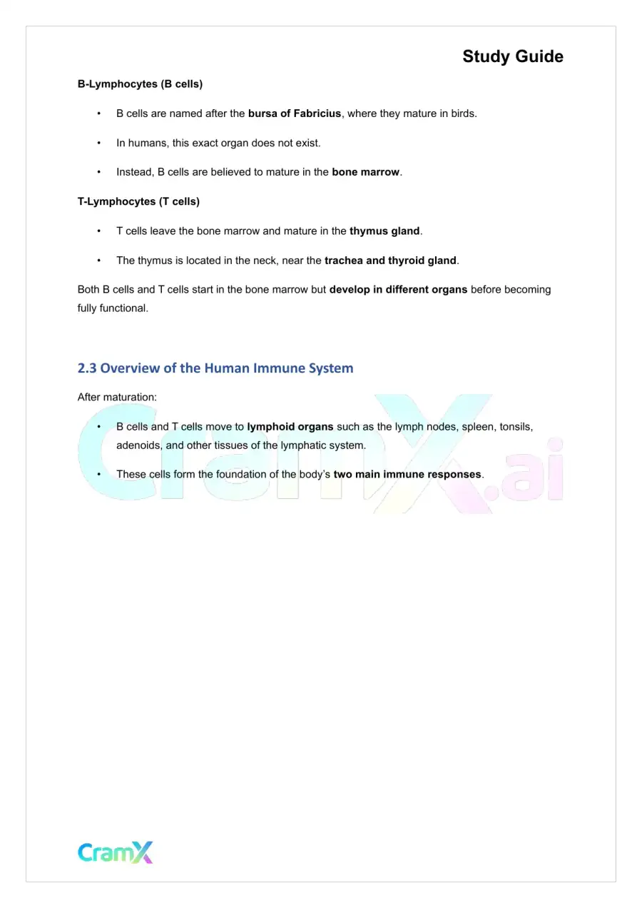 Microbiology - The Immune System, page 4