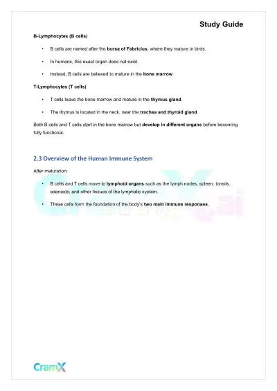 Microbiology - The Immune System - Page 4 preview image