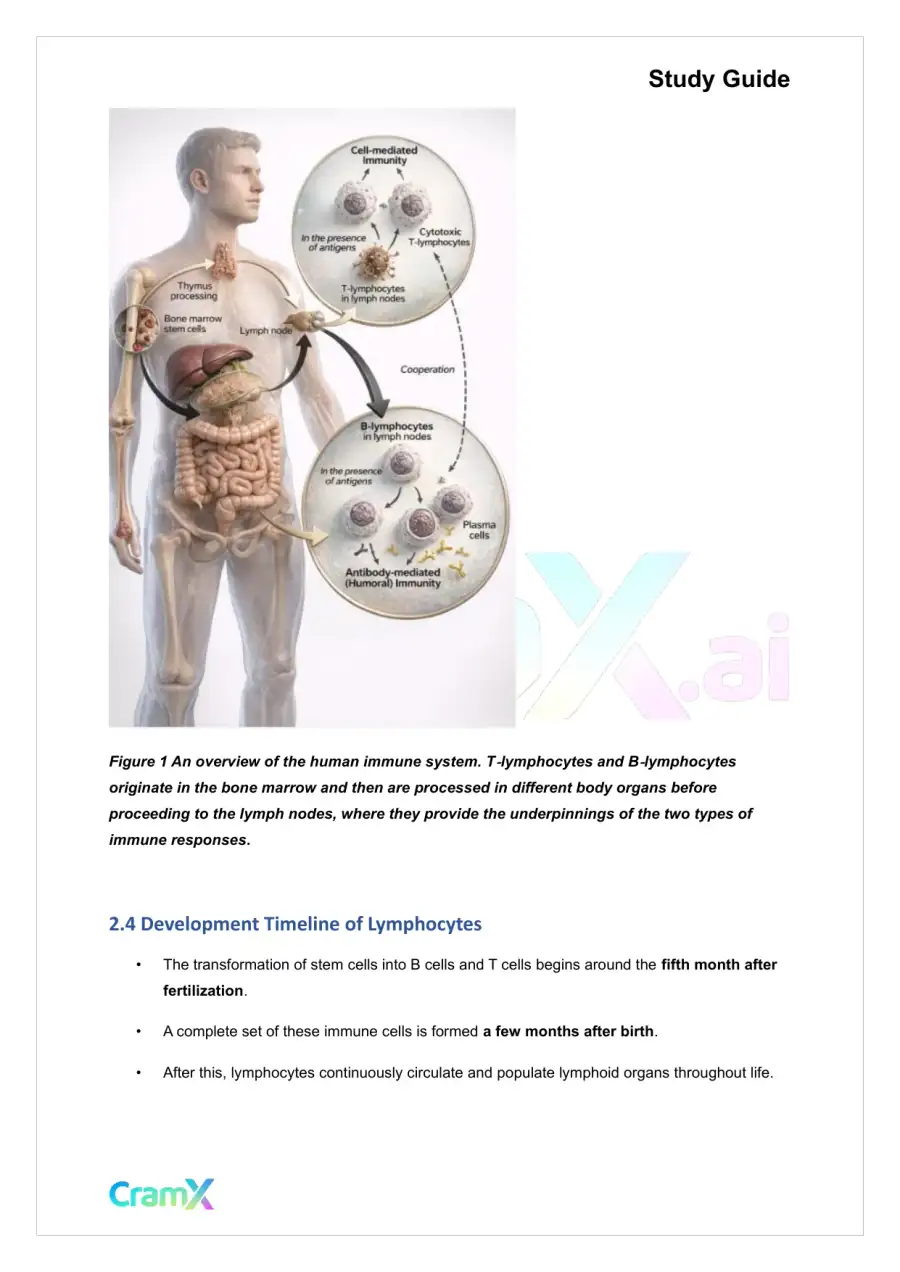 Microbiology - The Immune System, page 5
