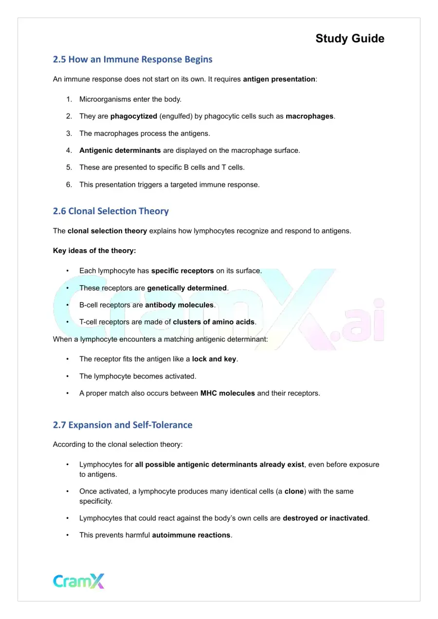 Microbiology - The Immune System, page 6