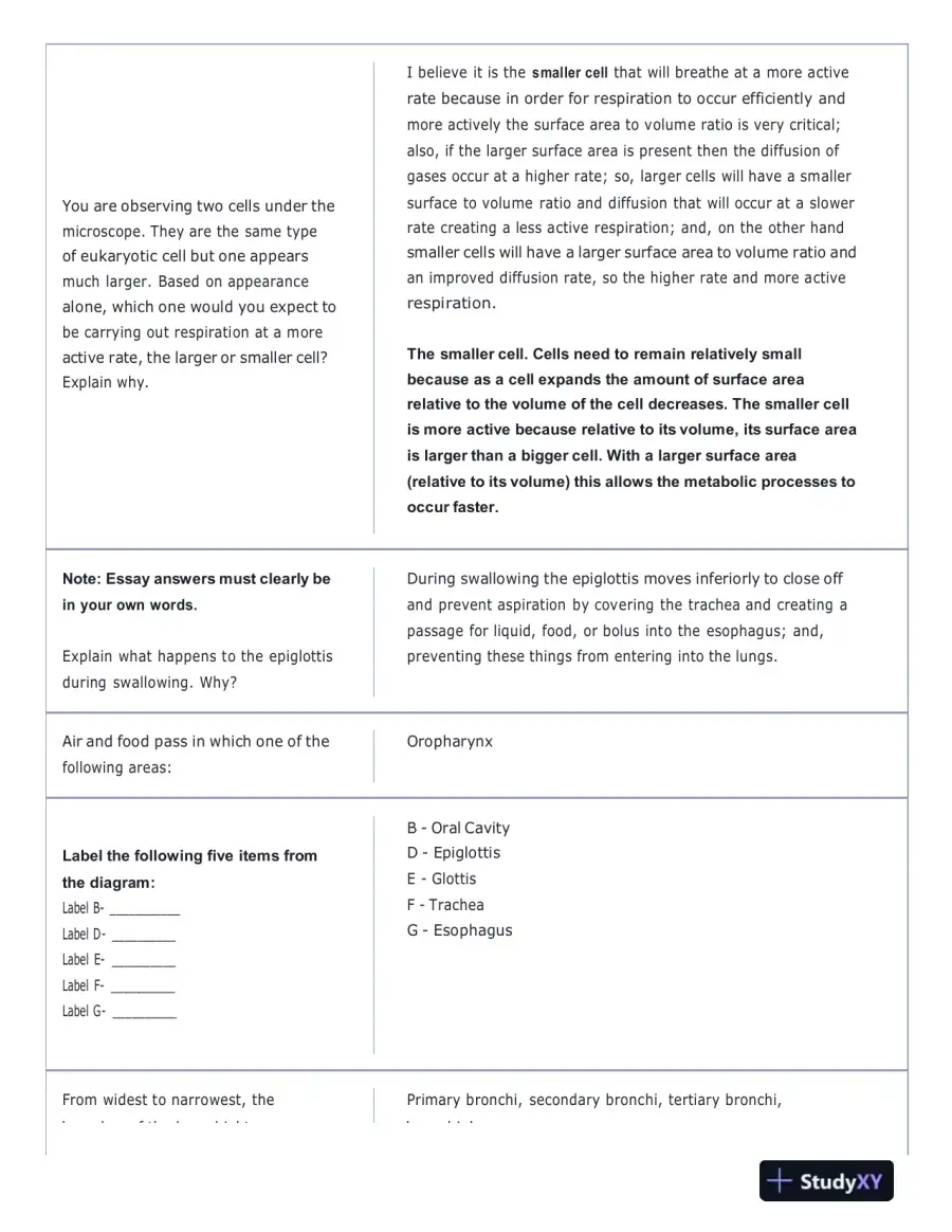 Portage Learning Anatomy and Physiology Final Exam With Answers (142 Solved Questions), page 3