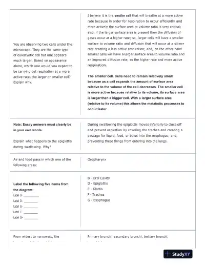 Portage Learning Anatomy and Physiology Final Exam With Answers (142 Solved Questions) - Page 3 preview image