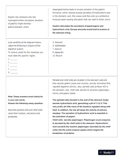Portage Learning Anatomy and Physiology Final Exam With Answers (142 Solved Questions) - Page 4 preview image
