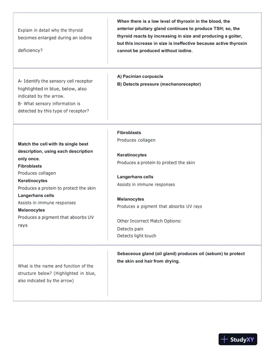 Portage Learning Anatomy and Physiology Final Exam With Answers (142 Solved Questions), page 7
