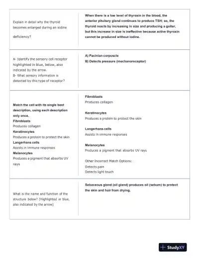 Portage Learning Anatomy and Physiology Final Exam With Answers (142 Solved Questions) - Page 7 preview image