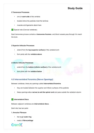 Anatomy and Physiology - The Skeletal System - Page 10 preview image
