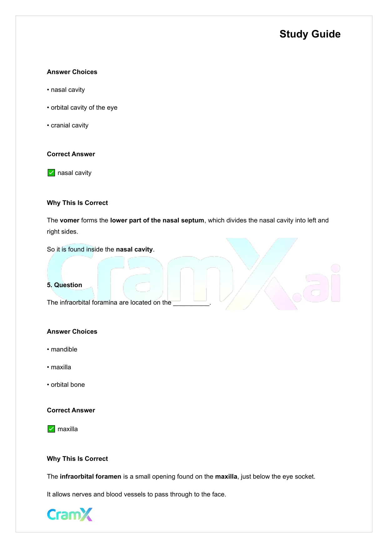Anatomy and Physiology - The Skeletal System - Page 3 preview image