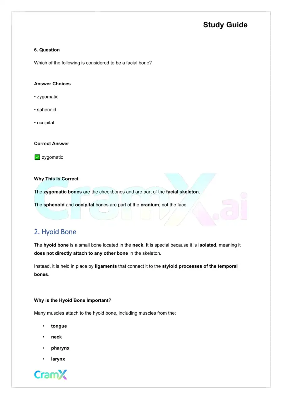Anatomy and Physiology - The Skeletal System, page 4
