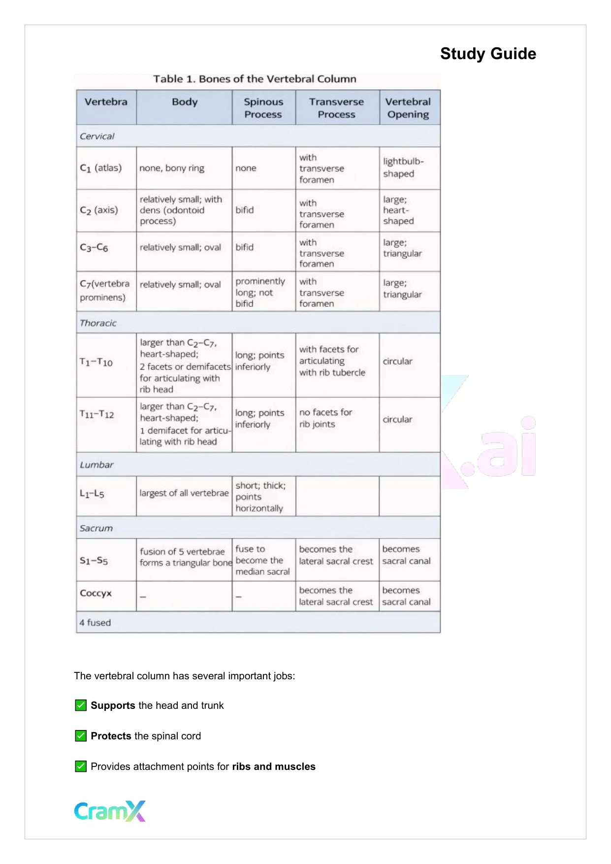 Anatomy and Physiology - The Skeletal System - Page 7 preview image