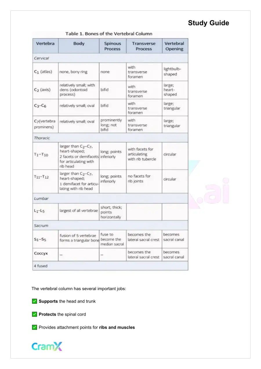 Anatomy and Physiology - The Skeletal System, page 7