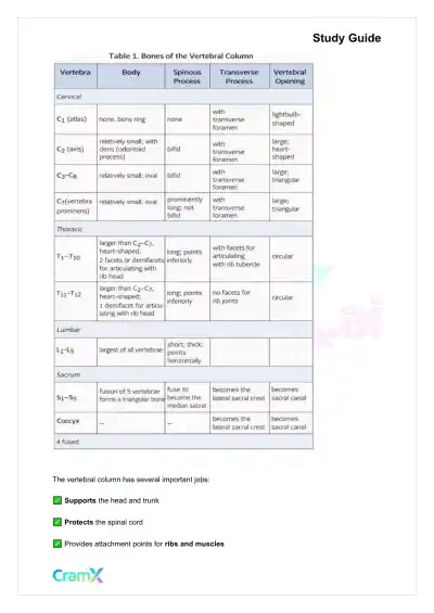 Anatomy and Physiology - The Skeletal System - Page 7 preview image