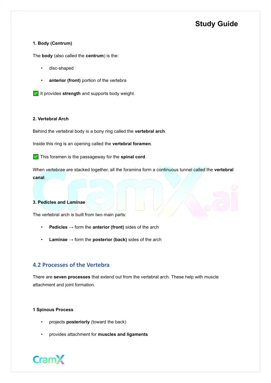 Anatomy and Physiology - The Skeletal System, page 9