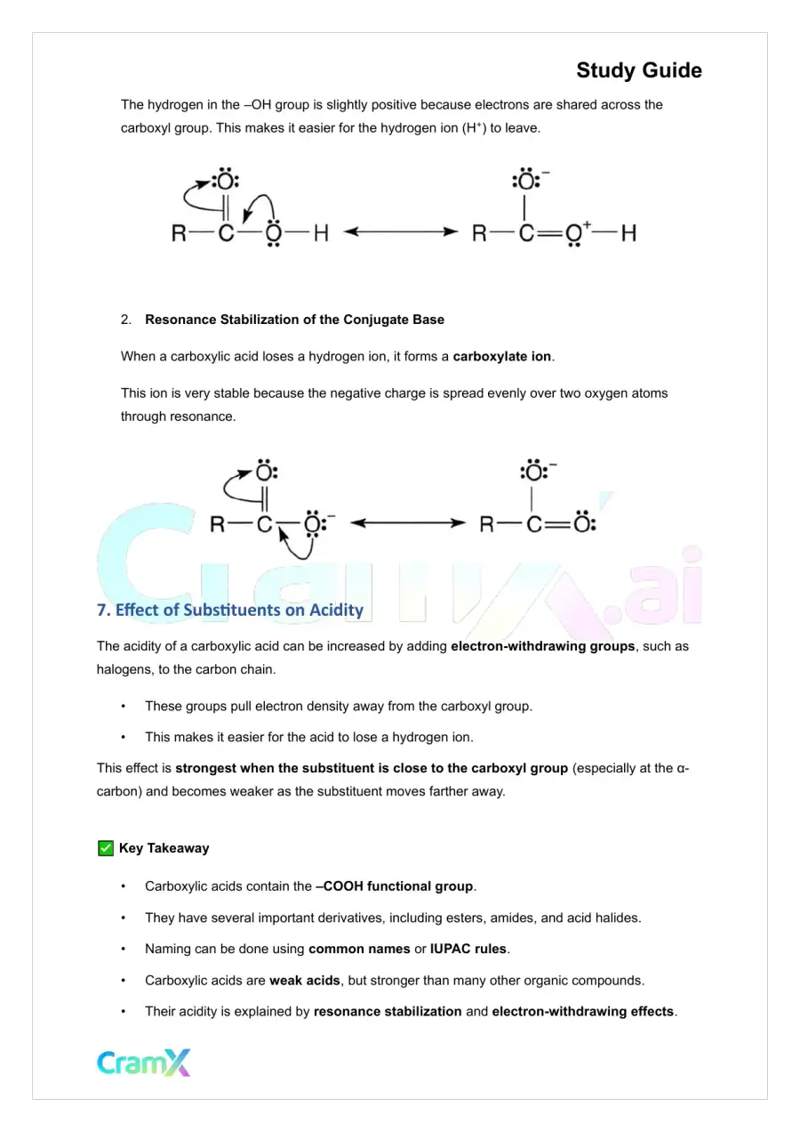 Organic Chemistry II - Carboxylic Acids and their Derivatives, page 5