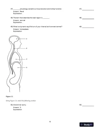 Human Anatomy And Physiology, 9th Edition Test Bank - Page 11 preview image