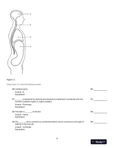 Human Anatomy And Physiology, 9th Edition Test Bank - Page 13 preview image