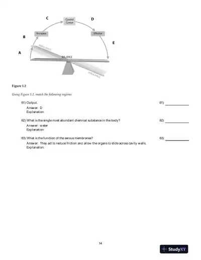 Human Anatomy And Physiology, 9th Edition Test Bank - Page 15 preview image