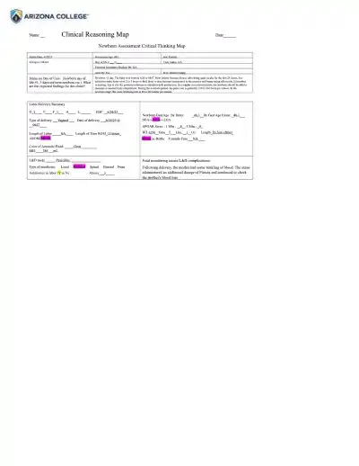 Newborn Assessment Critical Thinking Map - Page 1 preview image