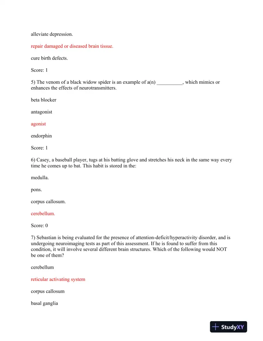 PSYC110 Post-Lab Test: The Nervous System and Brain Functions, page 3