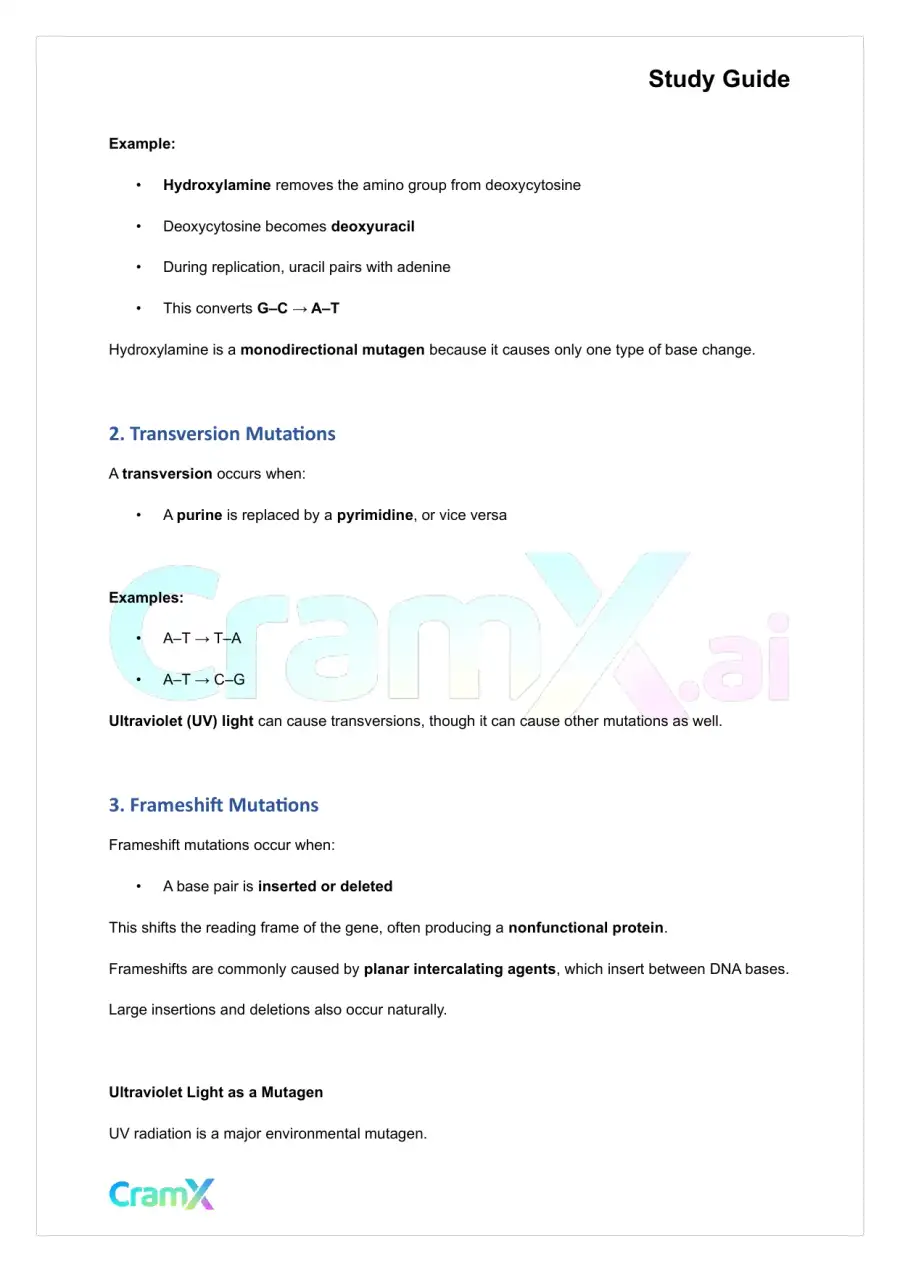 Biochemistry-II - DNA Structure, Replication, and Repair, page 2