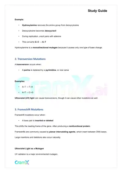 Biochemistry-II - DNA Structure, Replication, and Repair - Page 2 preview image