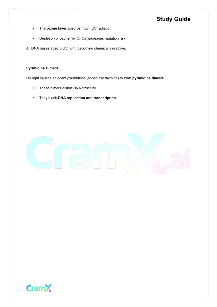 Biochemistry-II - DNA Structure, Replication, and Repair, page 3