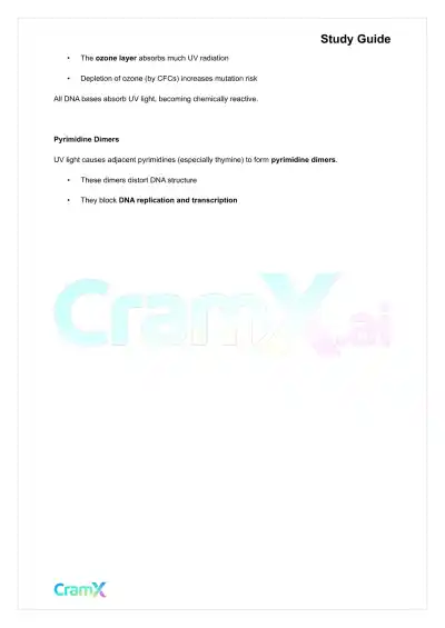 Biochemistry-II - DNA Structure, Replication, and Repair - Page 3 preview image