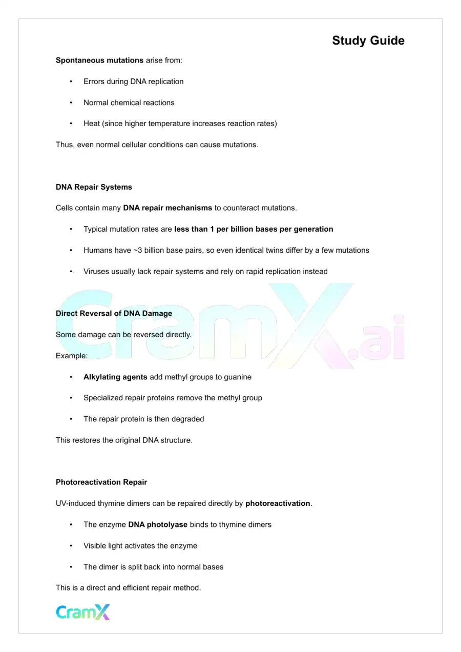 Biochemistry-II - DNA Structure, Replication, and Repair, page 5