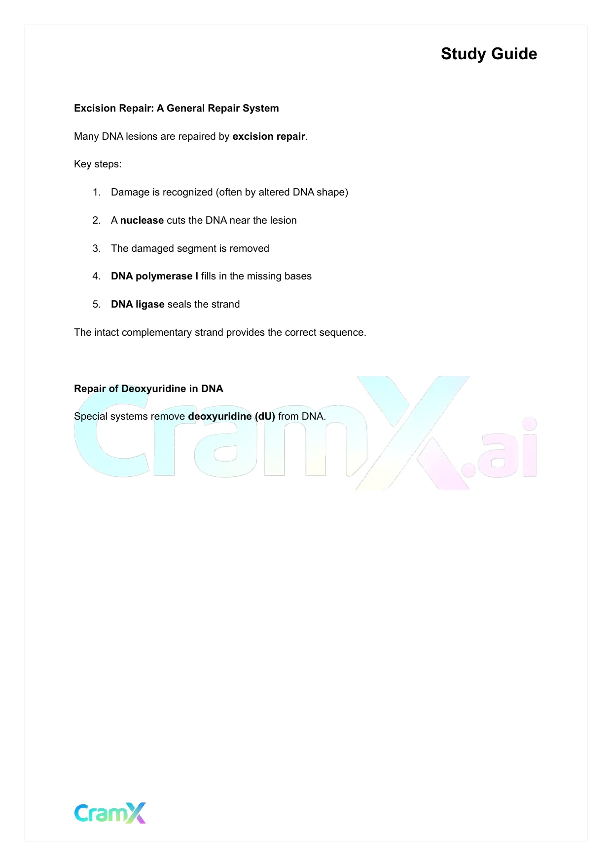 Biochemistry-II - DNA Structure, Replication, and Repair - Page 6 preview image