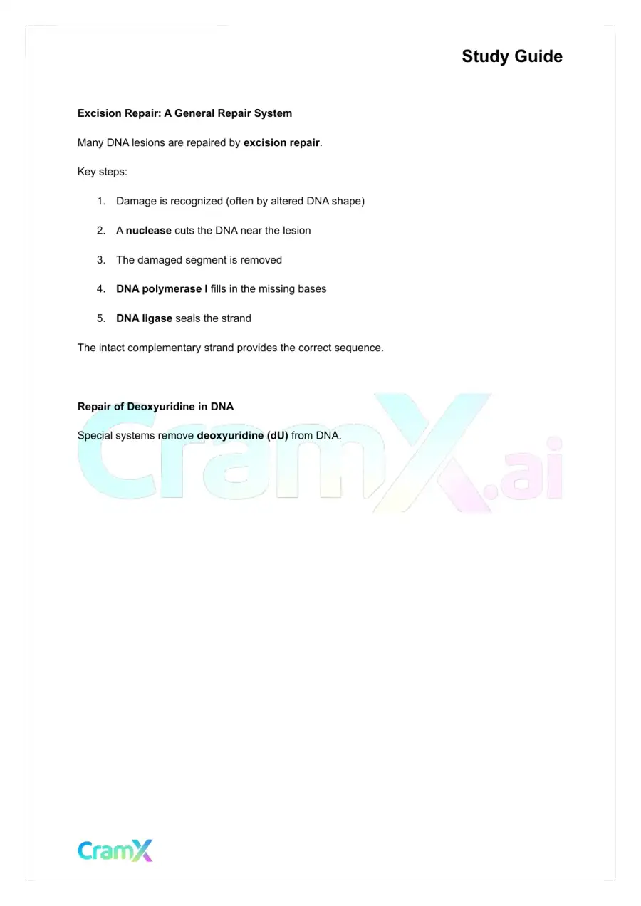Biochemistry-II - DNA Structure, Replication, and Repair, page 6