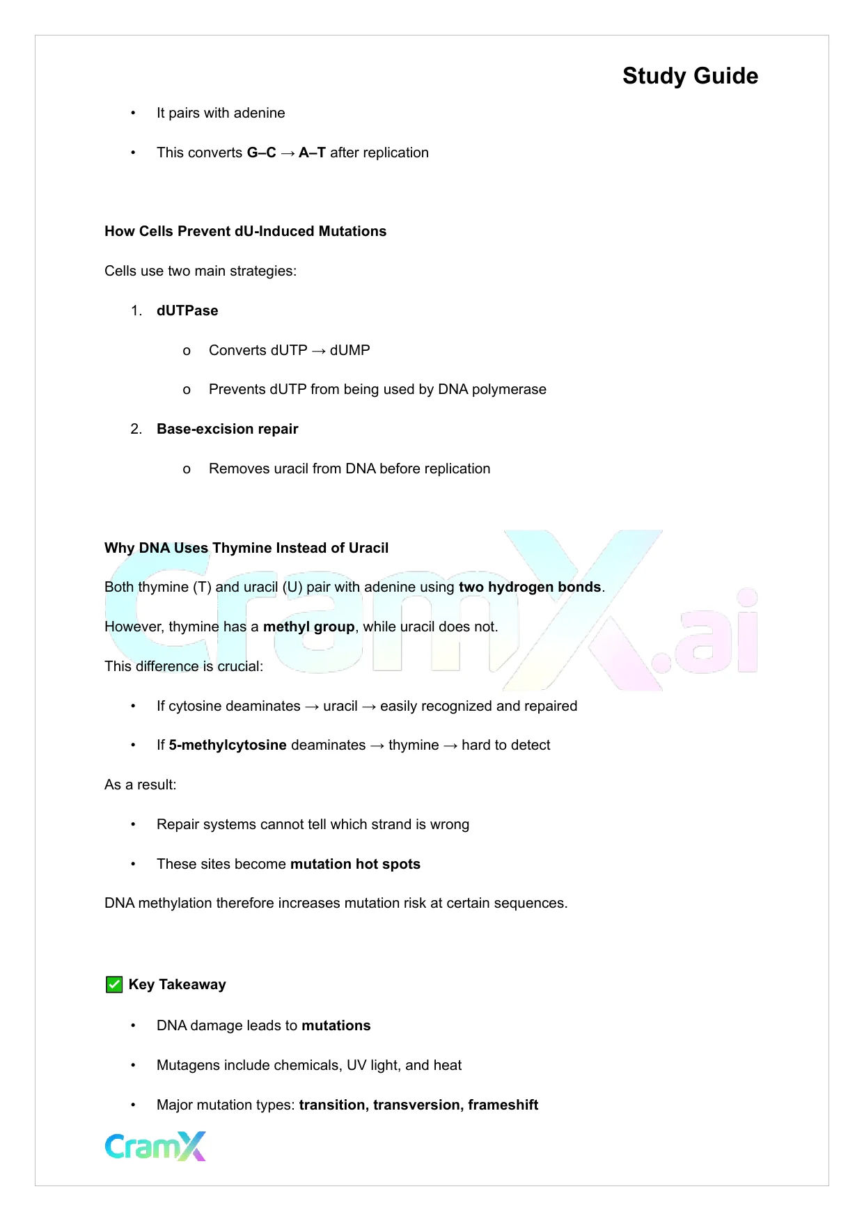 Biochemistry-II - DNA Structure, Replication, and Repair - Page 8 preview image
