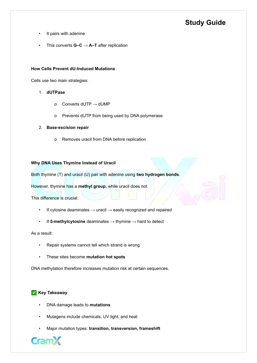 Biochemistry-II - DNA Structure, Replication, and Repair, page 8