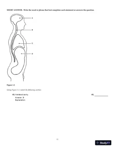 Test Bank For Anatomy & Physiology, 6th Edition - Page 12 preview image