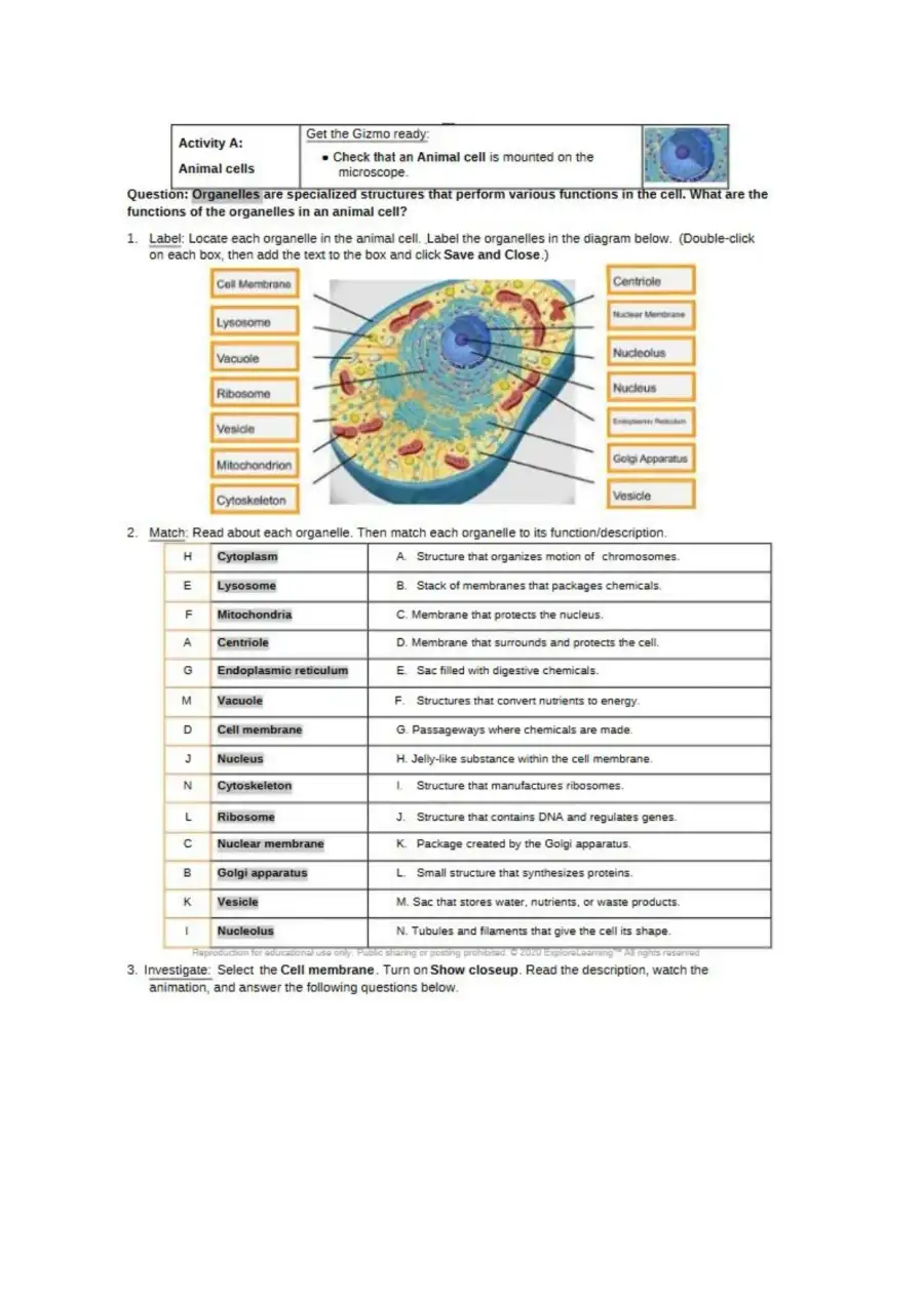 Cell structure gizmo student exploration, page 2