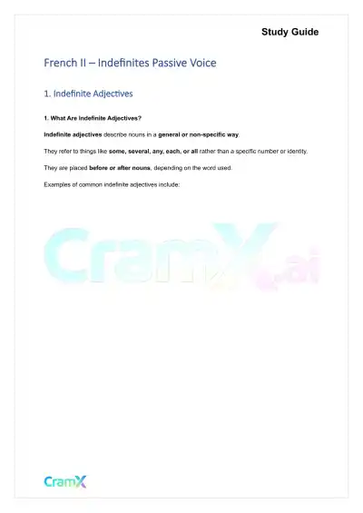 French II – Indefinites Passive Voice - Page 1 preview image