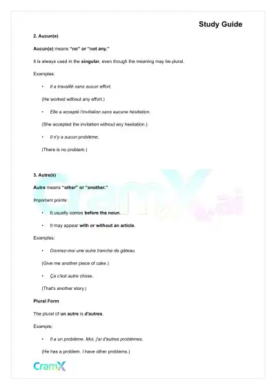 French II – Indefinites Passive Voice - Page 3 preview image